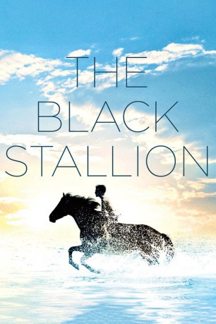 cover Black Stallion